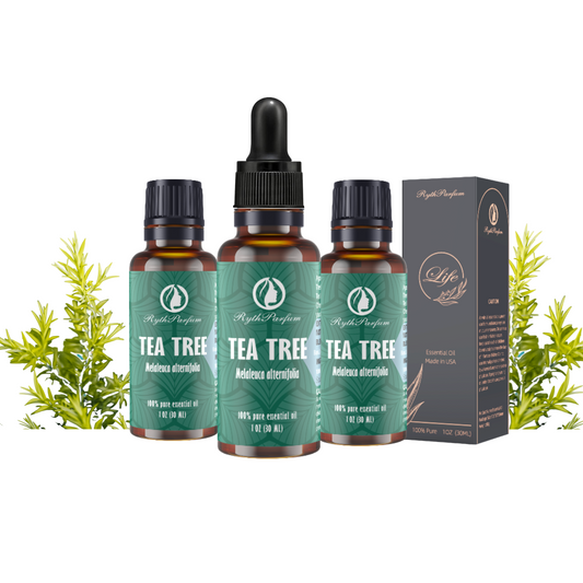 RythParfum Tea Tree Oil (3PACK of 1oz) with 3 Dropper|100% Pure Quality Undiluted Oil with Euro Dropper for Diffuser,Humidifier,Refreshing,Aromatherapy|American Dropper for Face,Hair,Massage